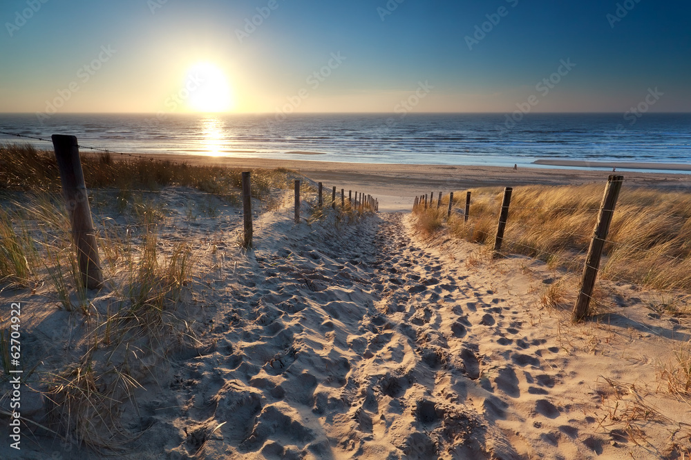 Naklejka premium słońce nad ścieżką do plaży w Morzu Północnym