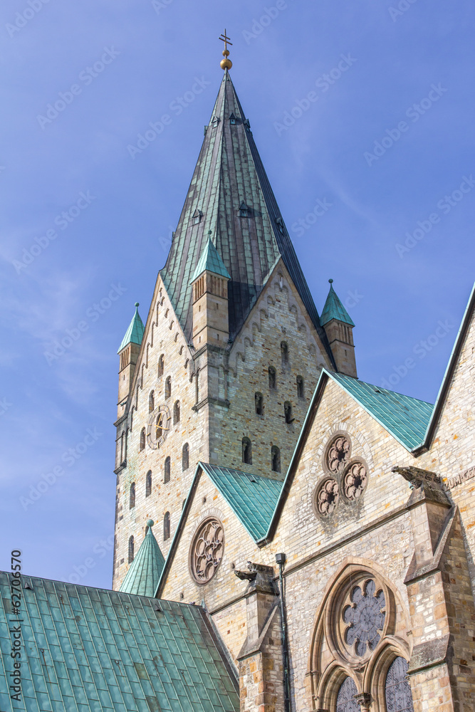 Fototapeta premium paderborner dom germany