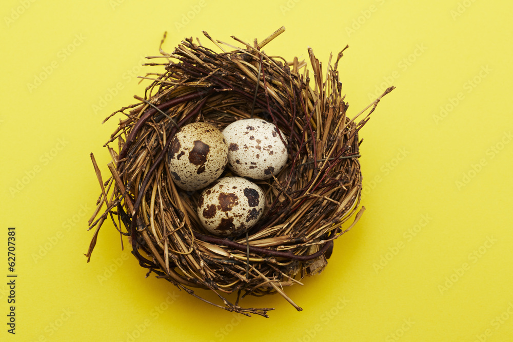 Wachteleier im Nest auf gelbem Untergrund Wachteleier im Nest auf gelbem Untergrund