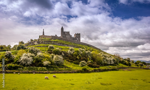 Fotografia the rock of cashel in rural ireland on a sunny day with sheep grazing