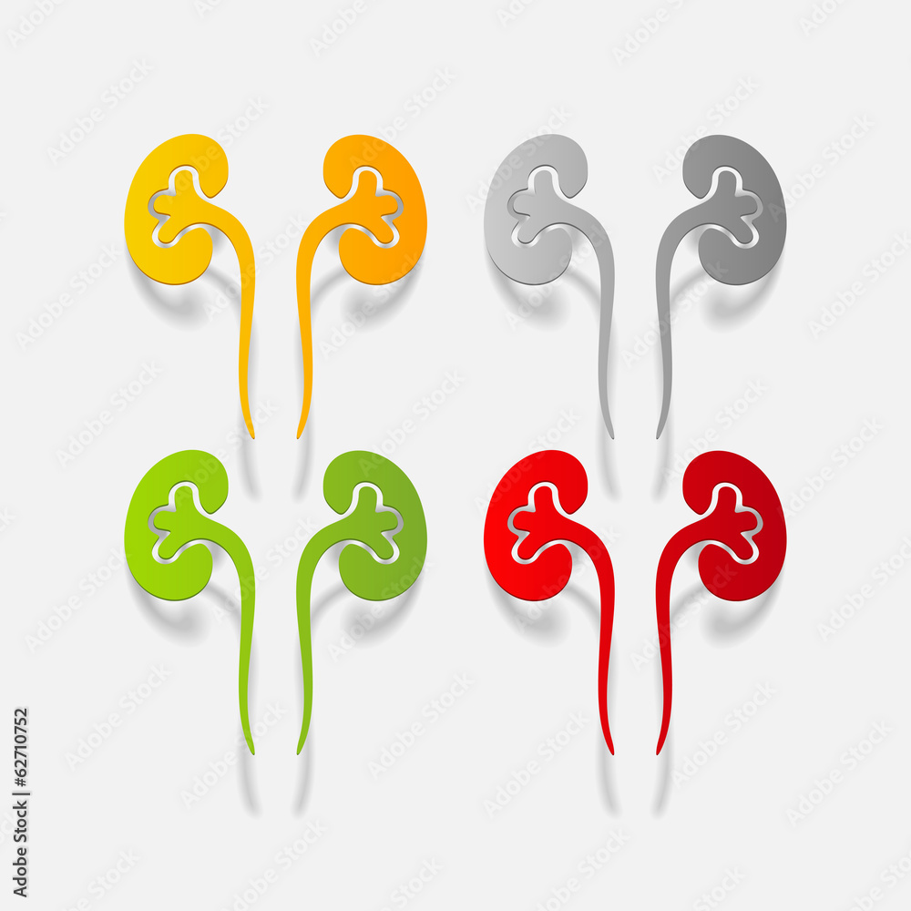 realistic design element: kidneys, medical