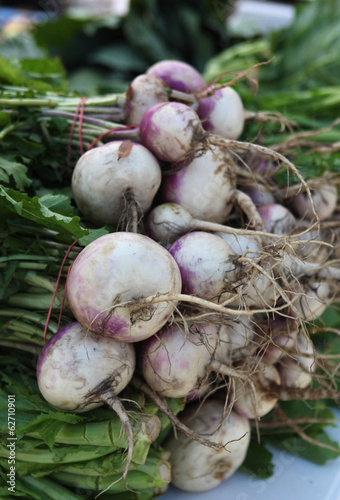 whole turnips