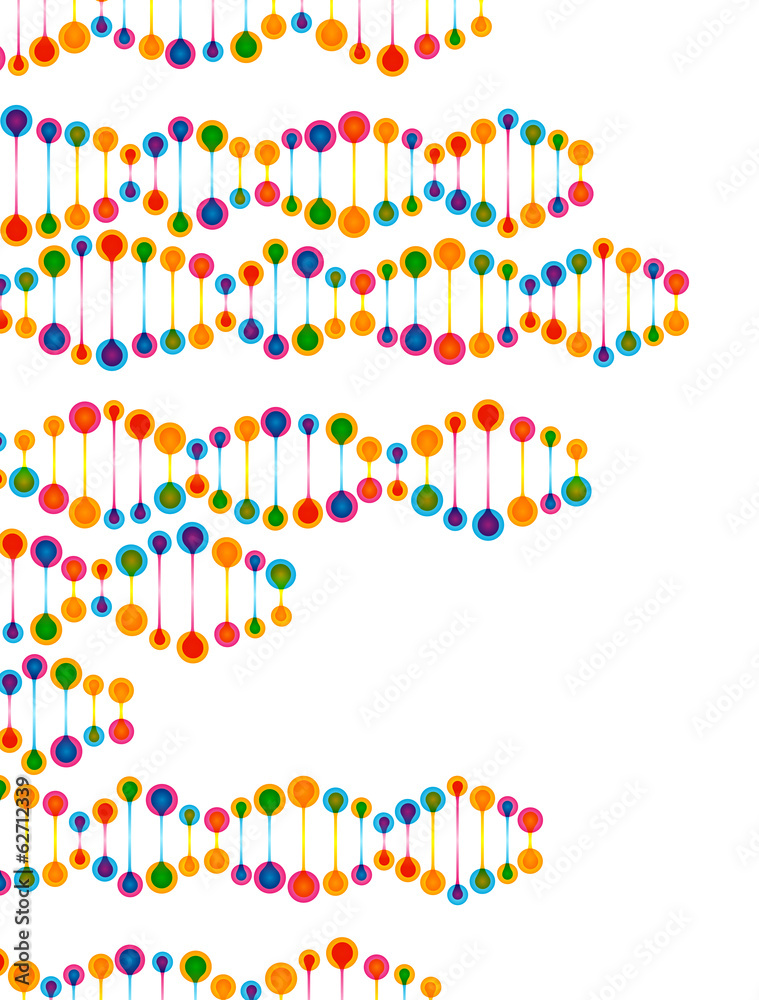 beautiful structure of the DNA molecule beautiful structure of the DNA molecule