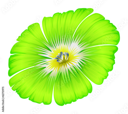 A bright green flower