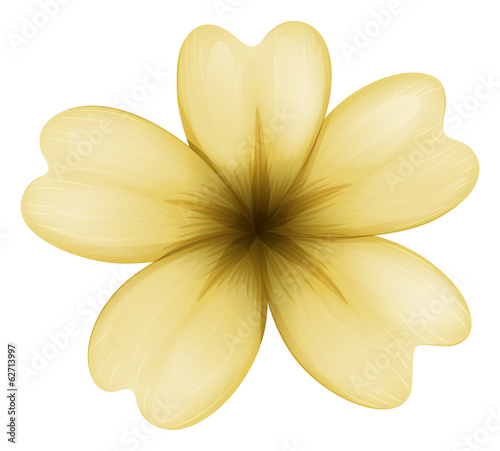 Fototapeta Naklejka Na Ścianę i Meble -  A light brown flower