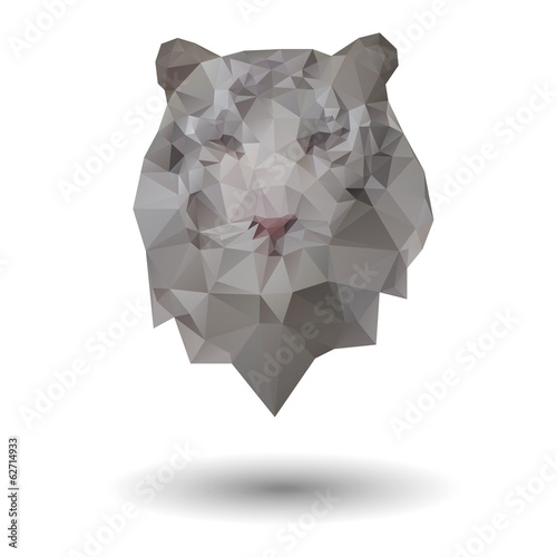 Fototapeta Naklejka Na Ścianę i Meble -  Triangle tiger icon