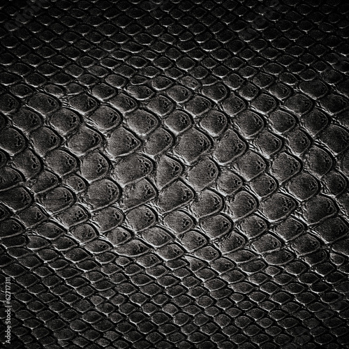 Snake black skin leather texture