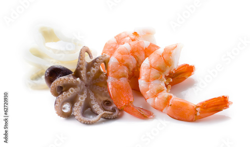 Seafood isolated. Shrimps, octopus; and squid.
