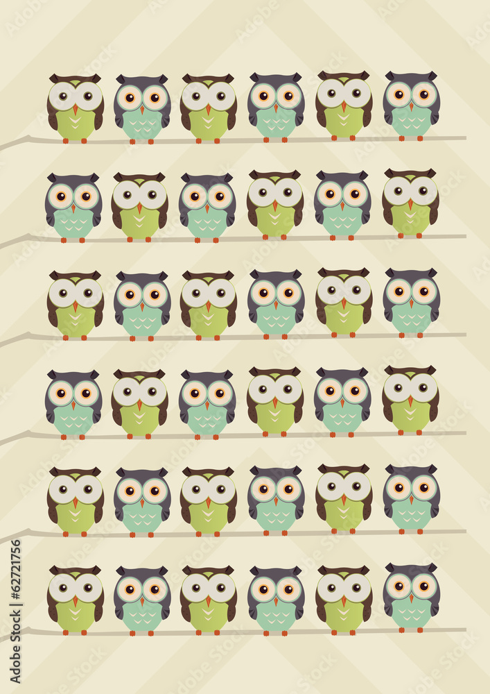 owls on a brunch owls on a brunch