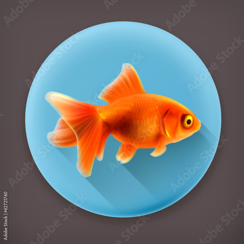 Goldfish, long shadow vector icon