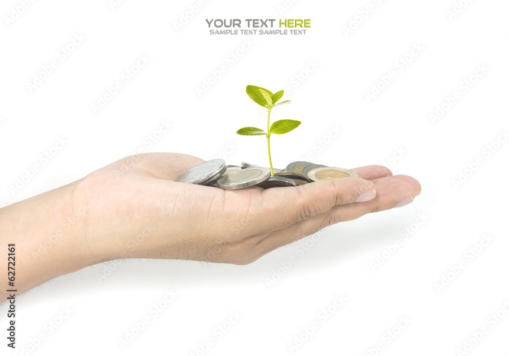 investment concept investment concept