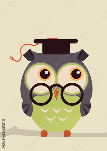 owl on a brunch