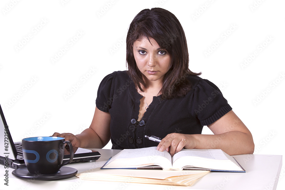 Beautiful Woman Working on her Laptop Beautiful Woman Working on her Laptop