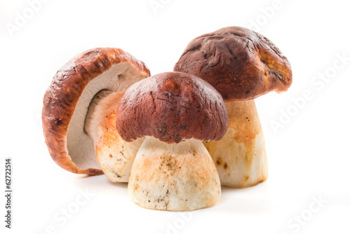 Three porcini mushroom. Cep on white background
