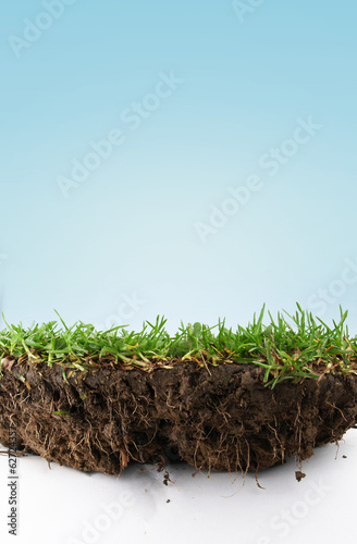 Grass soil