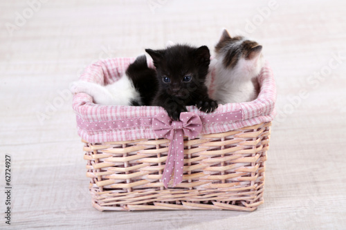 Cute little kittens in basket © Africa Studio