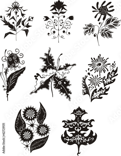 black and white flower designs