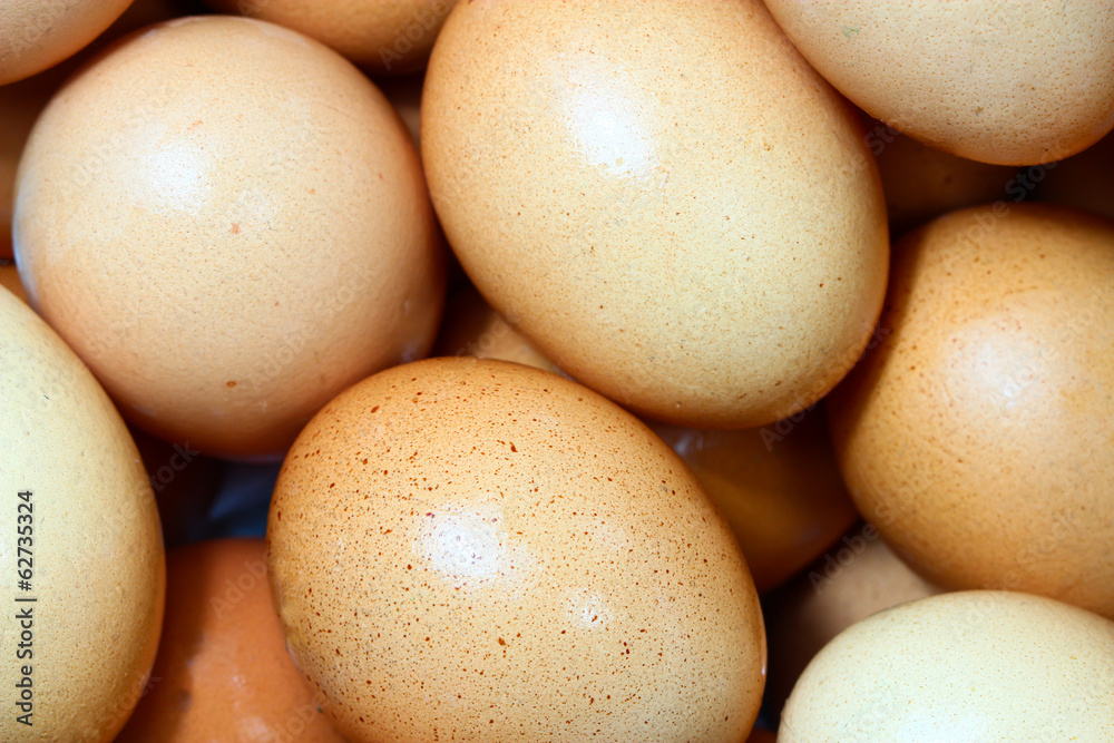 fresh eggs fresh eggs