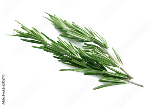 Rosemary isolated on white