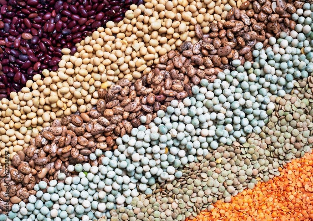 Fototapeta premium Legumes