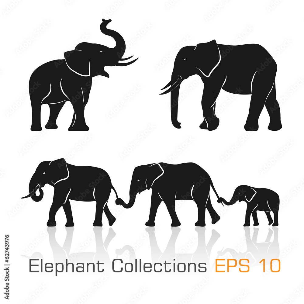 Naklejka premium Set of black & white elephants in different poses