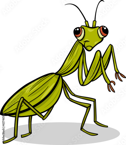 mantis insect cartoon illustration