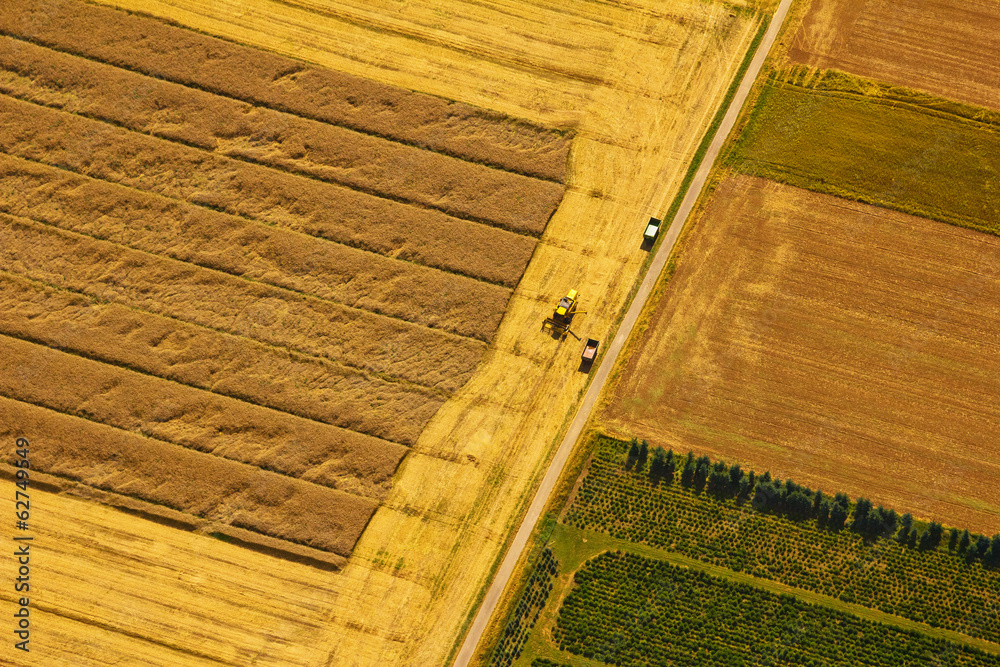 Obraz premium Getreideernte aus der Luft