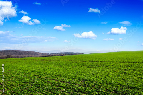 green field and blue sky © klagyivik