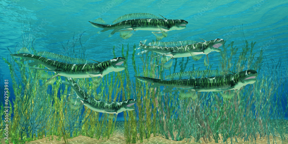 Naklejka premium Devonian Orthacanthus Sharks