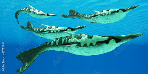Devonian Pteraspis Fish Group photo
