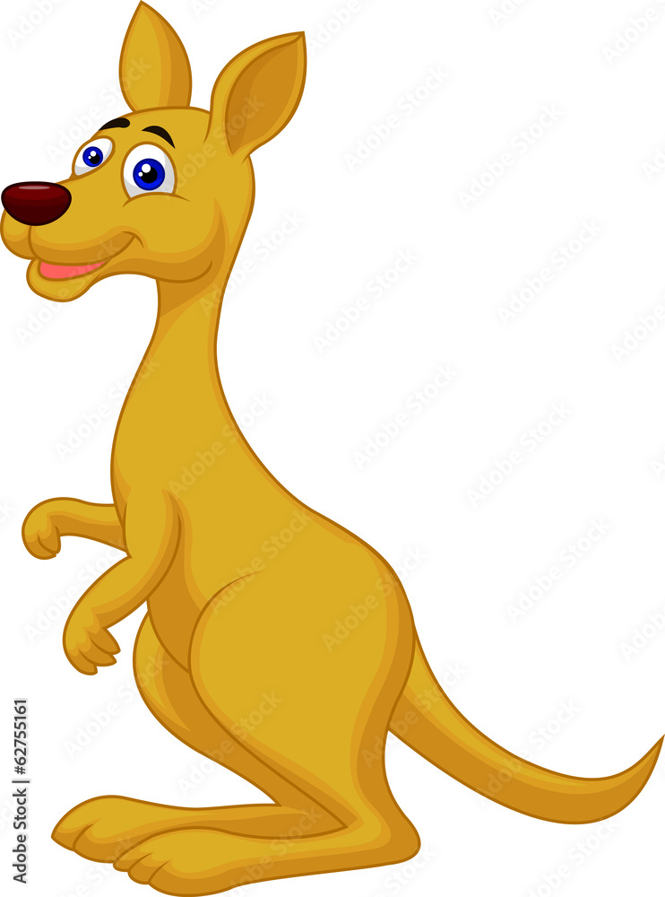Kangaroo cartoon Kangaroo cartoon