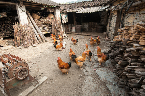 farmhouse in rural China