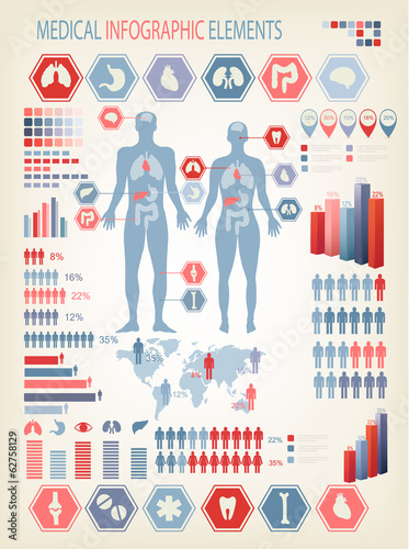 Medical infographics elements. Human body with internal organs.