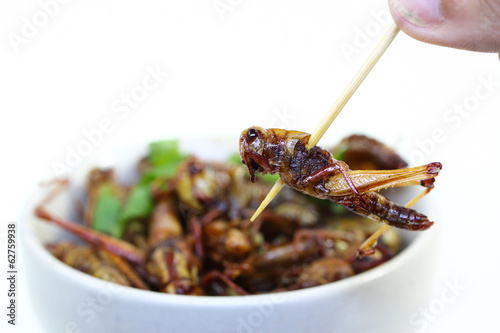 Fried insects.