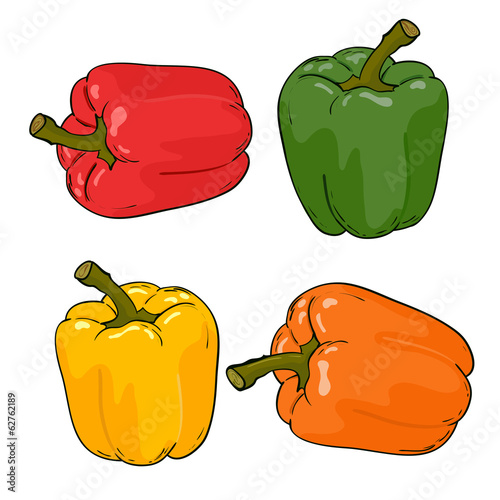 Set peppers colorfull vector
