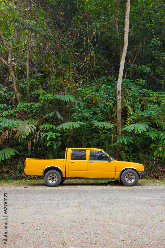 Fototapeta premium yellow pick-up truck