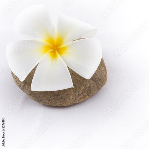 isolated of the foot with frangipani flower in spa on white back