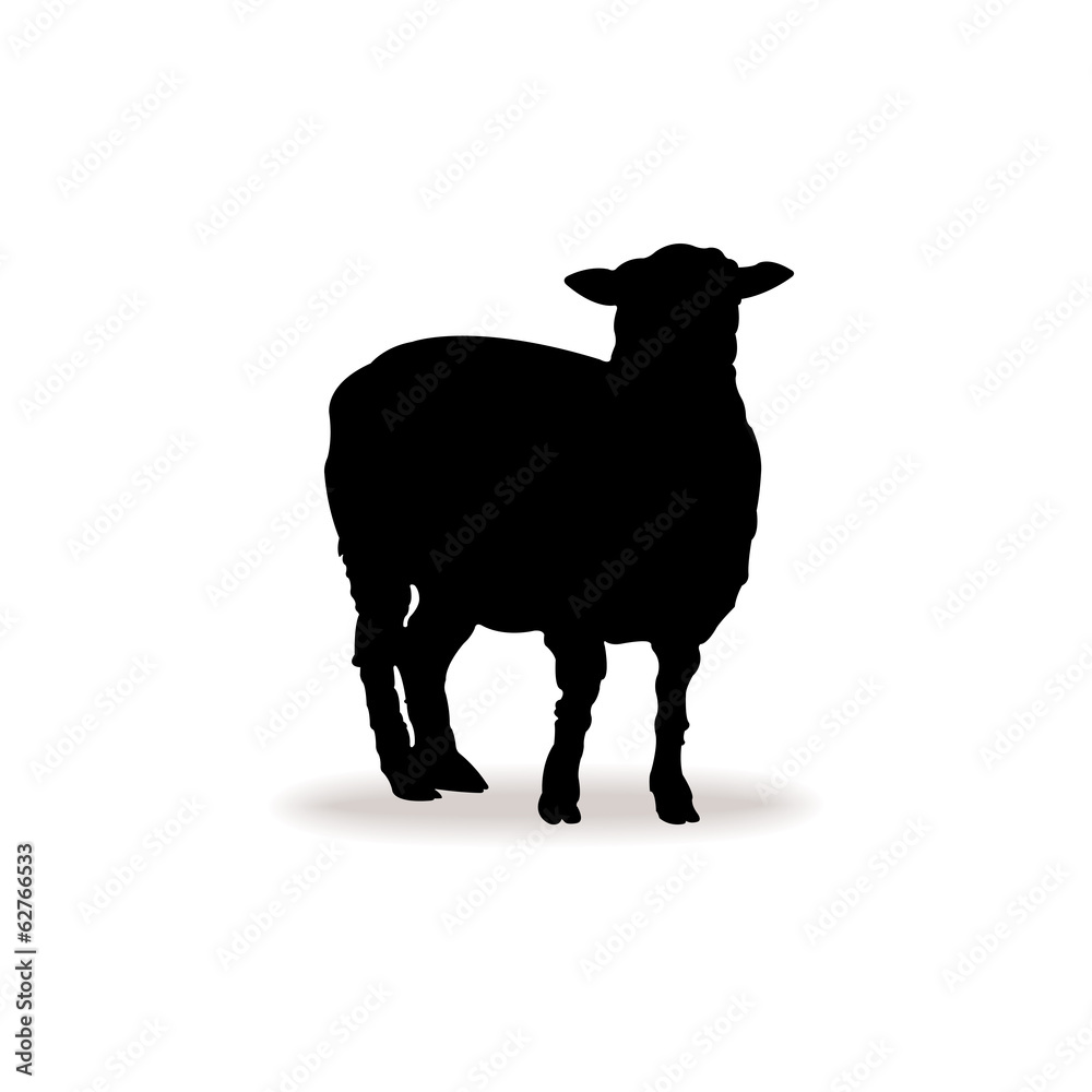 Fototapeta premium Form contour sheep, lamb