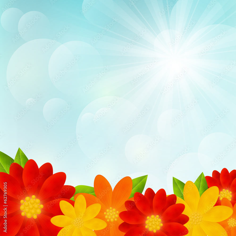 Fototapeta premium Bright flowers on sunny background