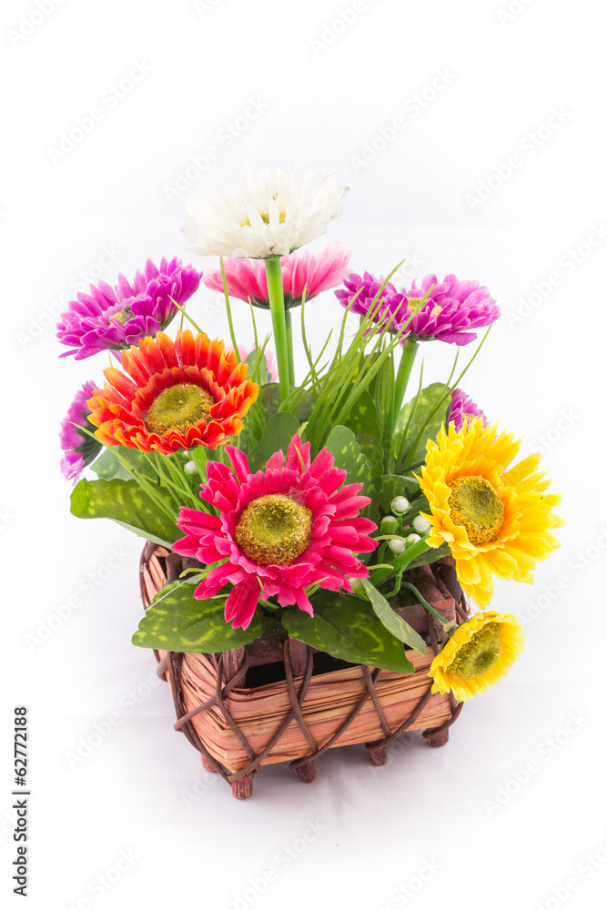 isolated of the fake flower with colorful daisy on white backgro
