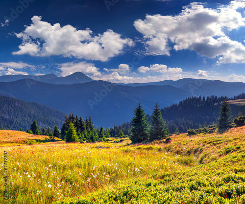 Beautiful summer landscape in the mountains with a feather grass