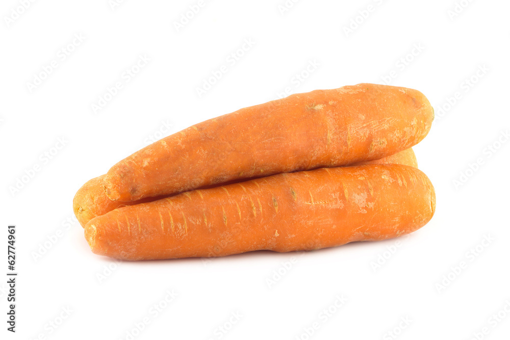 Three ripe washed fresh red carrots isolated closeup Three ripe washed fresh red carrots isolated closeup