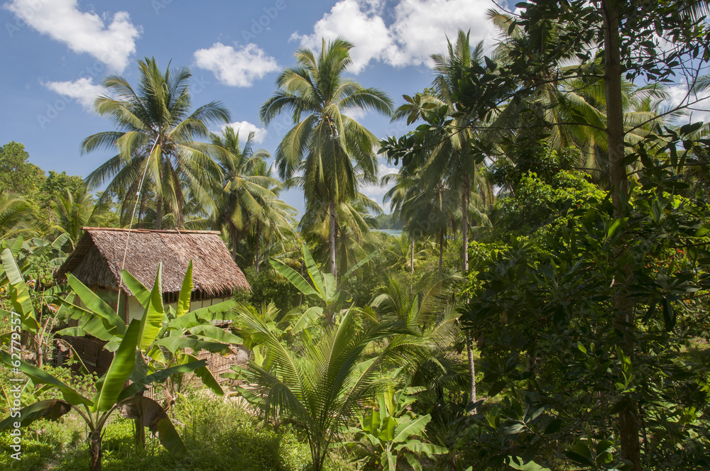 Obraz premium Hut. Port Barton, Philippines