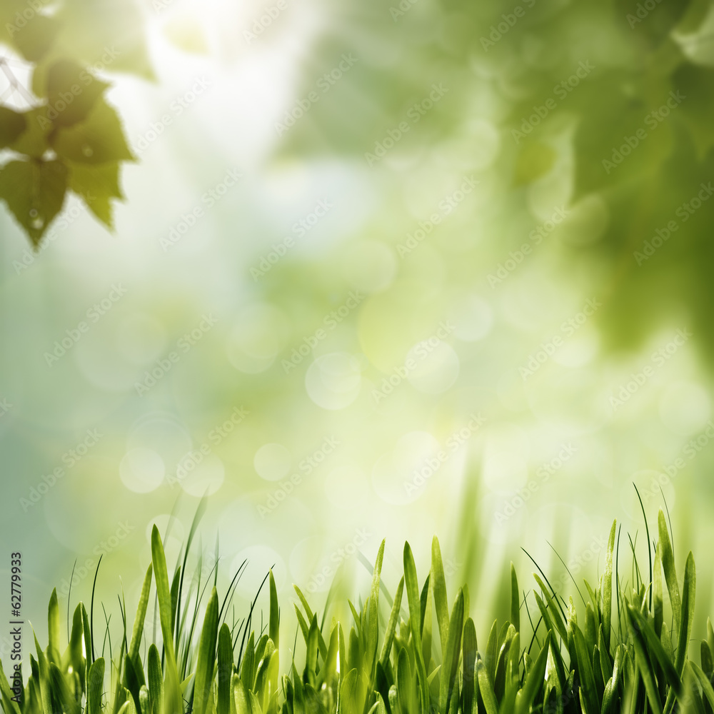 Green Nature, abstract environmental backgrounds for your design