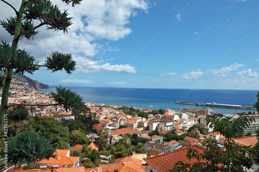 Funchal view