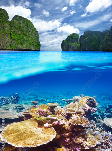 Lagoon with coral reef underwater view