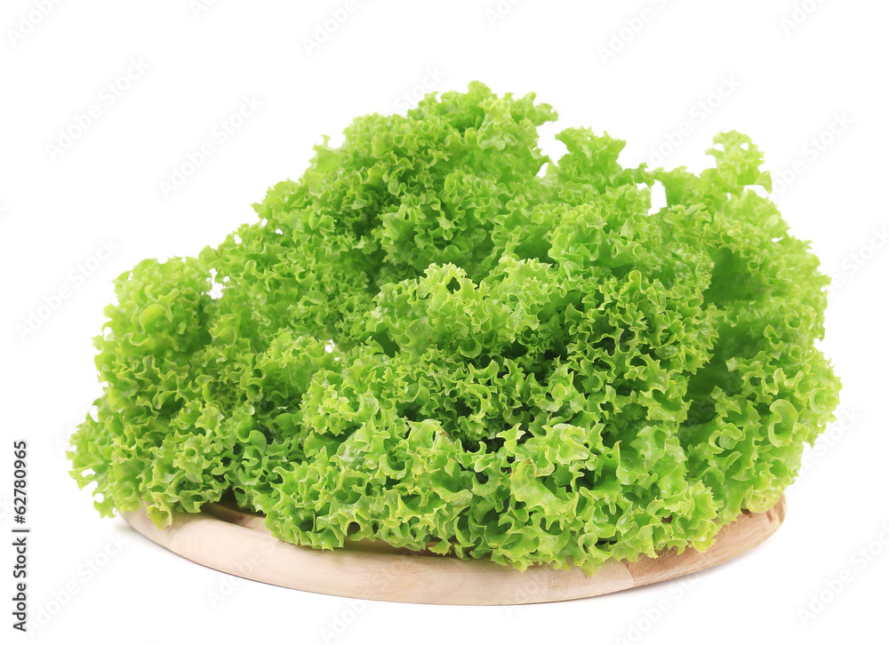 Fresh lettuce on wooden platter. Fresh lettuce on wooden platter.