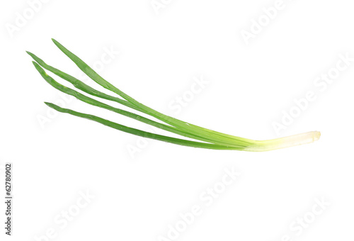 Close up of green onion.