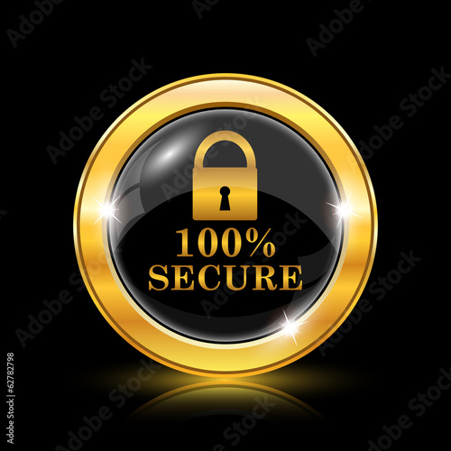 100 percent secure icon