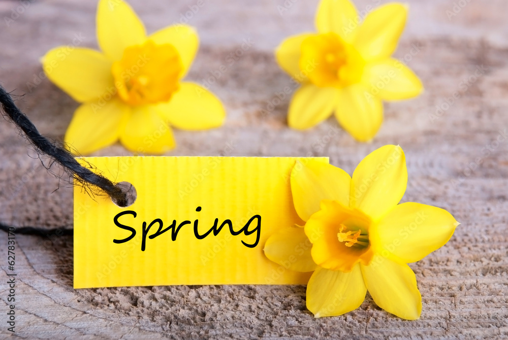 Label with Spring Label with Spring